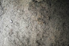 Rosie Musgrave - Stone Carver - some earlier work
